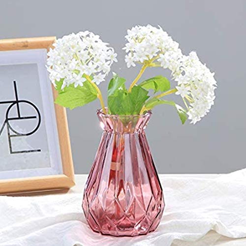 YLLQXI Transparante glazen vaas, decoratieve vaas glazen bloemenvazen, decoratieve vaas, bloemplantenhouder, voor thuis, kantoor, decoratie, cadeau voor bruiloft, housewarming, vakantie, feest, feest - Afbeelding 5