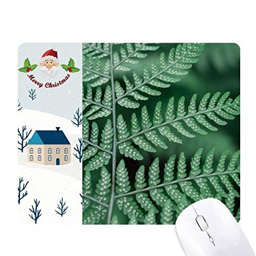 t̐AAR̎ʐ^ T^N[XƉS̃}EXpbh