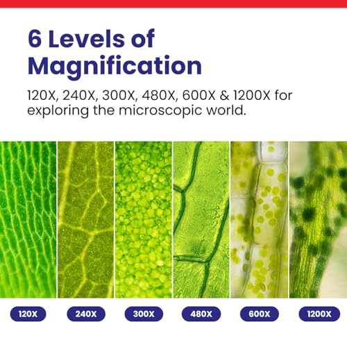 Image of AmScope M30 Series 52-Piece STEM Microscope Kit for Kids - Monocular, Portable Compound Microscope for Kids - Includes Petri Dish, Slides & More - Black