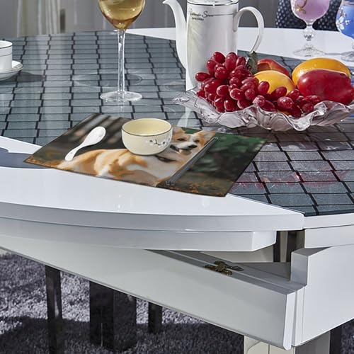 Sets de table Corgi infroissables pour protéger la table des plats chauds et taches - 5