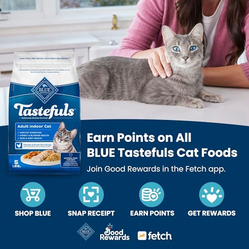 Blue Buffalo Tastefuls Kitten Food With DHA Dry Cat Food Made in the USA with Natural Ingredients, Chicken Recipe, 7-lb. Bag