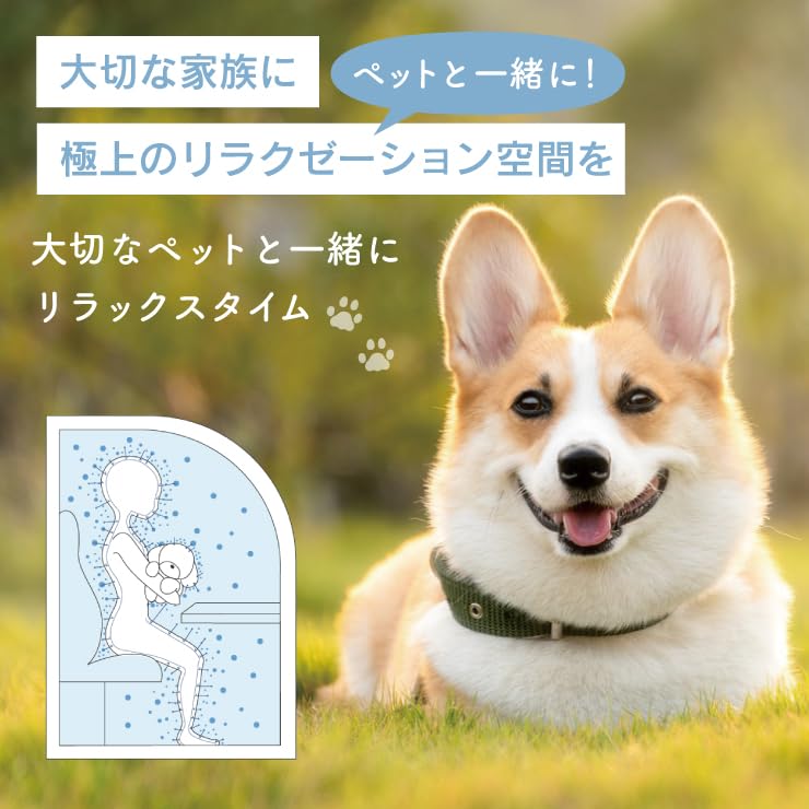 Amazon | 【公式】【水素の父、太田成男開発】ハイドロオアシス