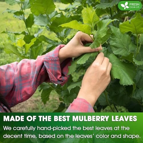 Image of FreshDrinkUS, Permium 16oz Mulberry Leaves, 100% Natural & Pure, Mulberry Leaf Tea, Mulberry Loose Leaf Herbal Tea, No Additives, No Caffeine, Vegan.