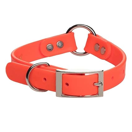 Mendota Products DuraSoft Hunt Dog Collar, Orange, 1 x 22-inch