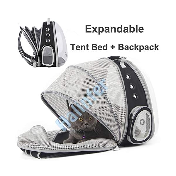 Back-Expandable-Cat-Backpack-Carrier-Fit-up-to-12-lbs-Space-Capsule-Bubble-Window-Pet-Carrier-Backpack-for-Cat-and-Small-Puppy Back Expandable Cat Backpack Carrier