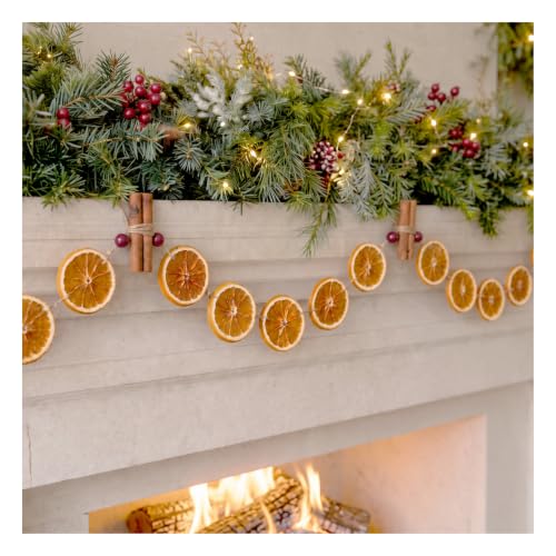 11.8 FT Dried Orange Garland with Cinnamon Sticks & Red Beads for Christmas