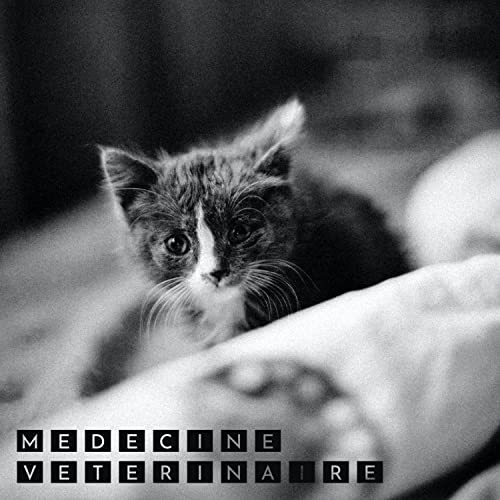 Alice surf sur la plage