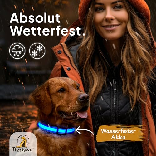 Tierhood Leuchthalsband Hund - Leuchthalsband für kleine und große Hunde - LED Hundehalsband Aufladbar - Langlebig, Wetterfest & Komfortabel - Ideal für Nachtspaziergänge - Blau, Größe M