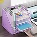 Marbrasse Desk Organizers and Accessories, 5-Tier Paper Letter Tray Organizer with File Holder, Mesh File Organizer, Office Desk Accessories & Organization for Supplies (Purple)