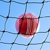 Cricket Warm-Up/Throw-Down Nets | Non-Permanent Cricket Practice Net [3 Lengths]