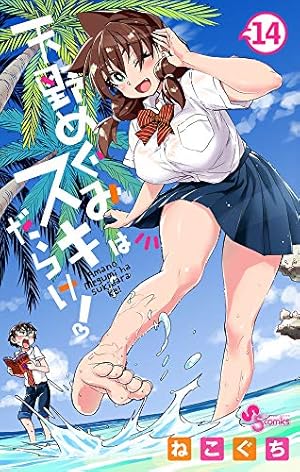 天野めぐみはスキだらけ! (14) (少年サンデーコミックス) | ねこぐち