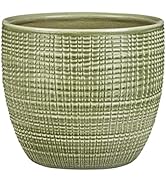 Scheurich rechteckiger Pflanzkübel Wave Globe 58 x 24 cm Schwarz-Granit kaufen bei Scheurich rechteckiger Pflanzkübel Wave Globe 58 x 24 cm Schwarz-Granit kaufen bei