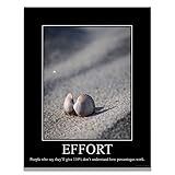 Effort Demotivational Poster Snarky Ironic Funny Sarcastic Office Wall Decor Art Print 11x14 Inches Unframed