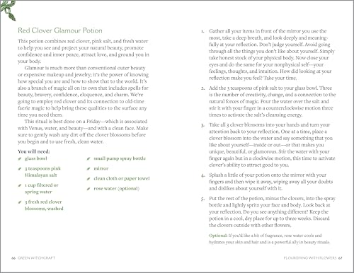 Rockridge Press Vanderbeck, Paige Green Witchcraft: A Practical Guide To Discovering The Magic Of Plants, Herbs, Crystals thumb #6