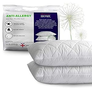 Adam Home Pillows 2 Pack Hotel Quality with Quilted Cover- Premium Filled Pillows for Stomach, Back and Side Sleeper…