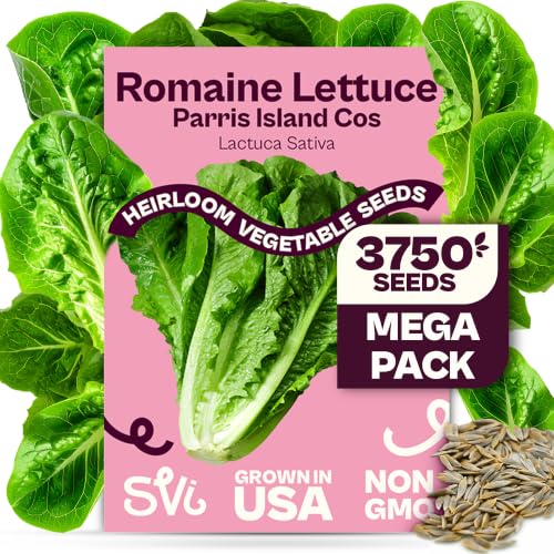 SVI 3750 Parris Island Cos Romaine Lettuce Seeds (Lactuca Sativa) Green Leaf Lettuce Romaine Seed Packets Disease Resistant Heirloom Vegetable Seeds for Outdoor Vegetable Garden