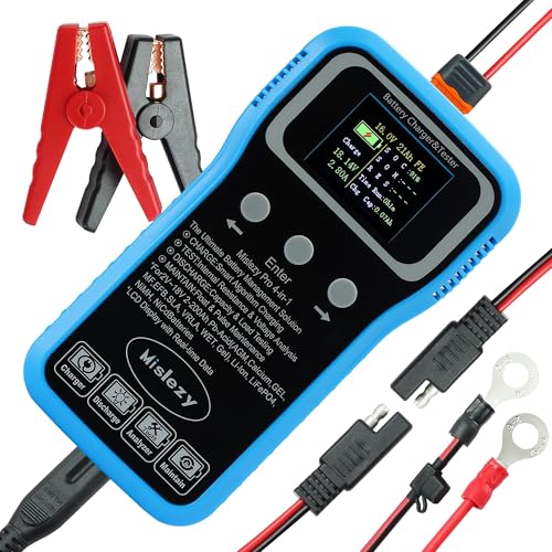 6V 12V 24V All-in-One Smart Battery Charger, Maintainer, Tester, Desulfator & Load Discharger,Color LCD Display,Battery Equalization for Car, Truck, Motorcycle, RV, Marine, Li-ion LiFePO4 Pb-Acid NiMH