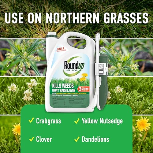 Roundup for Lawns1 with Extend Wand, 1.33 gal. - image 3