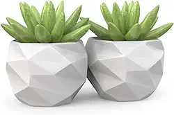 2 Vasos Cachepot Suculenta Ervas Decora Mesh Mini Pp58