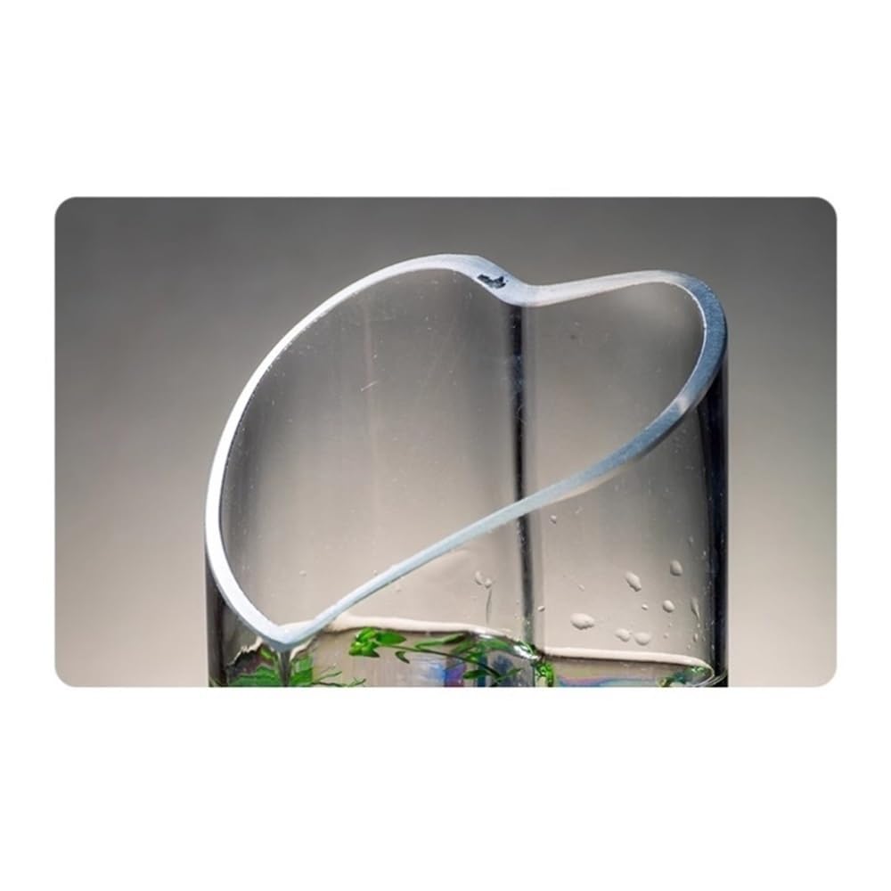 Aquarium Kleines Goldfisch-Aquarium aus Glas, Mini-Tisch-Aquarium, romantisch, kreativ, herzförmig(8 * 28cm)