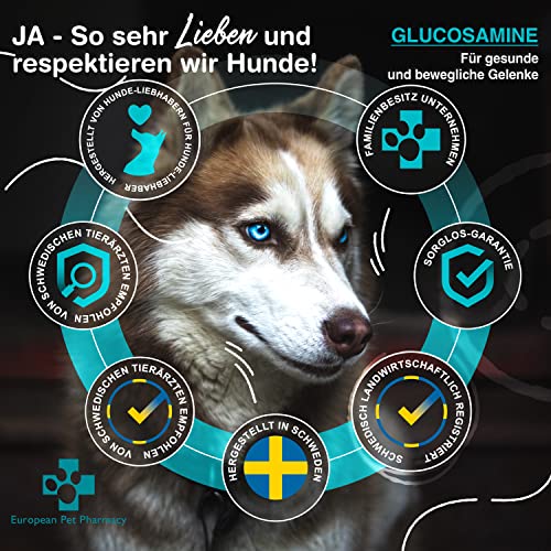 European Pet Pharmacy Grünlippmuschel Hund 250 g Glucosamin Pulver — Nahrungsergänzungsmittel Hund – Für Intakte Gelenke Hunde und Katze – Probiotisches Alantin, Vitamin C, Alter 5+ Monate