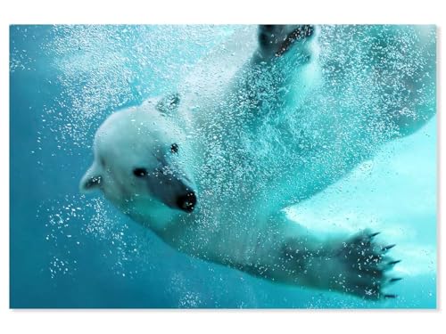 Hexoa Tableau Ours Blanc en Plein Plongeon - Made in France - Toile imprimée 45x30