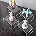 BYCY Clear Acrylic Riser lot of 10 for Jewels, Cupcakes, Tea Sets, Clear Cupcake Stand for Small Toys and Cosmetics (10P-2*3*4)
