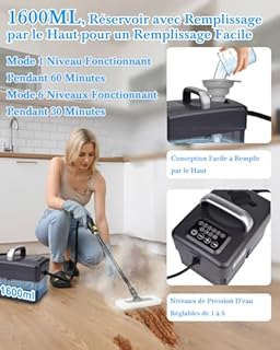 Mecmic Upgrade Nettoyeur Vapeur Portable - 2500W, 6 Niveaux de Réglage, Réservoir D'eau 1,6L, 120 °C Vapeur, Chauffage en 15s,Portable avec 10 Accessoires, Nettoyage des Canapé,Sol,Vitre,Matelas,Gris