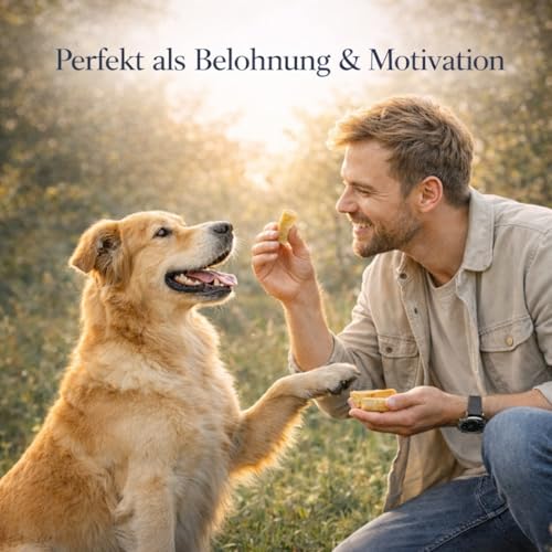 Alp Chews Hartkäse für Hunde – Extra Kleine 3 Stück – Natürlicher Kauknochen – Kaukäse zur Zahnpflege & Langen Kaudauer