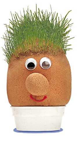 Tobar - 00748 - Monsieur pelouse - Mr Grasshead