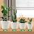 13 Inch Plastic-Flower-Pot-for-Indoor-Plants, 4 Pack Large Outdoor Planter Pot with Drainage Holes & Saucers, Resin Decorative Garden Pots Planters