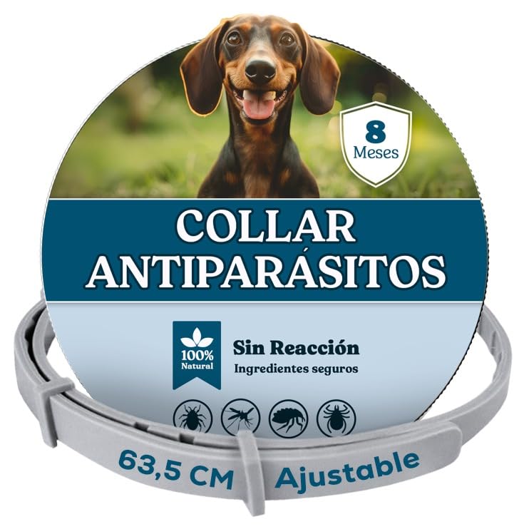 Collar Antiparasitario Perros, Collar antipulgas Perros pequeños y Grande, Leishmaniosis (Mosquitos), Pulgas y Garrapatas - 8 Meses - 63cm Ajustable, Repelente 100% Natural, Impermeable