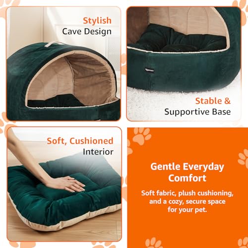 Image of Amazon Basics Pet Bed Cave | Soft & Warm Indoor Tent Bed for Cats, Kittens & Small /Medium Dogs (Pug, Beagle, Shih Tzu) | Foldable with Removable Cushion | Emerald Green & Beige | 59 x 56 x 48 cm