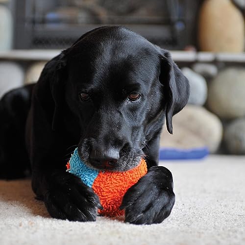 Image of Chuckit! Indoor Fetch Shaker for Dogs - Interactive Dog Toys for Boredom, 7.75 Inch, Orange and Blue