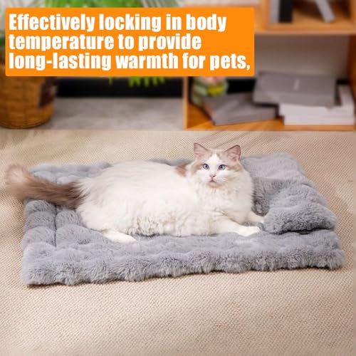 Coussin lavable avec coussin doux pour résoudre les problèmes de poils de chat - 4