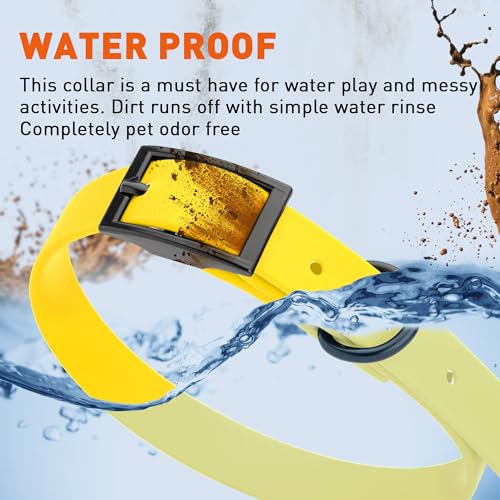 Image of Dogline Biothane Waterproof Dog Collar Strong Coated Nylon Webbing with Black Hardware Odor- Proof for Easy Care Easy to Clean High Performance Fits Small Medium or Large Dogs, Lemon Yellow
