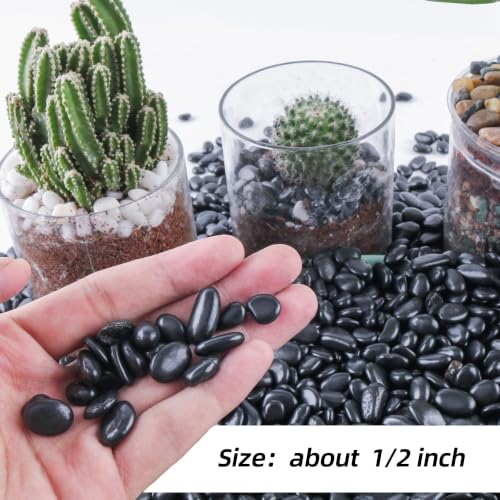 Image of CJGQ 45lb 1 /4 inch Small Pebbles Black for Plants,Potting,Succulents Aquarium Fish Tank Vases Decorative Garden Polished Gravel Rocks Stones