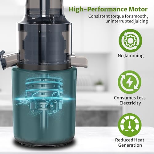 Image of Pigeon by Stovekraft Pure Slow Juicer| 250W Motor| Nutrient Rich Juice| All-in-1 Fruits & Vegetable Juicer| Maximum Juice Extraction Auger | Separate Juice & Pulp Cups | 2 Year Warranty