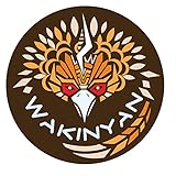 Wakinyan