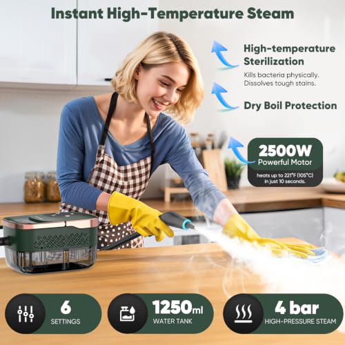 Image of Steam Cleaner for Home, Pressurized Handheld Steamer