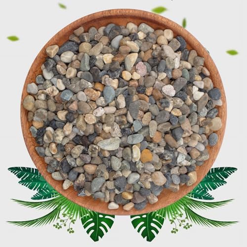 Image of 20lbs Coarse Sand Stone - Succulents and Cactus Rocks, Decorative Gravel for Plants and Vases Fillers，Terrarium, Fairy Gardening, Natural Stone Top Dressing for Potted Plants.