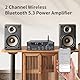 Hifi-Verstärker, 2000W Mini hifi Verstärker, 2.0-Kanal 100W*2 Bluetooth 5.3 TPA3116 Stereo-Audioverstärker, Digitale Endverstärker Soundverstärker,OPT/AUX/USB -Karteneingang, für Zuhause oder Auto