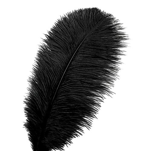 Black Ostrich Feathers (10-12 inch) - Image 4