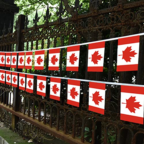 Image of Anley Canada Canadian String Pennant Flags, Patriotic Events July 1st National Canada Day Dominion Day Celebration Decoration for Sports Bars - 33 Feet 38 Flags