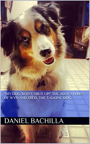 how do i get my dog to shut up