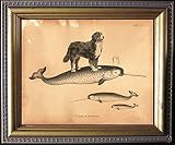 Bernese Mountain Dog Riding Narwhal Vintage Collage Semi-Matte Photo Print Tea Stained Background dog art dog gift for dog mom gift for her dog novelty gift wall decor art print