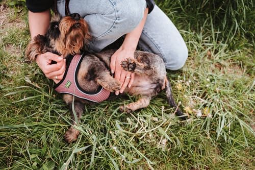 Hunter Hundegeschirr Hilo Comfort, Farbe: Altrosa, Easy Step-In Geschirr für kleine bis mittlere Hunde, mit Netzmaterial, reflektierende Elemente, angenehm leicht, modernes Design, Größe: S
