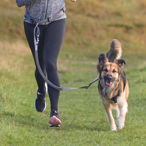 TRIXIE Joggingleine für Hunde mit Bauchgurt M-L, 1,20–1,50 m 25 mm in grafit/schwarz - perfekte Hundeleine für Sport und Bewegung - für mittelgroße bis große Hunde - 12767