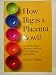 How Big is a Placenta Bowl?: And Other Weird Questions You'll Ask When Planning a Home Birth