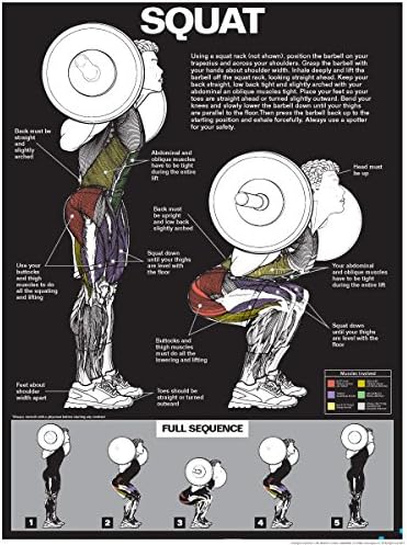 Squat Workout Laminated Poster